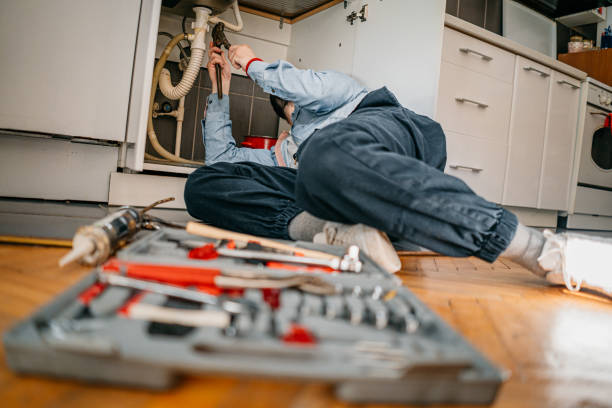 Best Plumbing Inspection Services  in Lake Holiday, IN