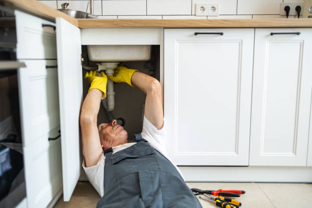 Best Same-Day Plumbing Service  in Lake Holiday, IN